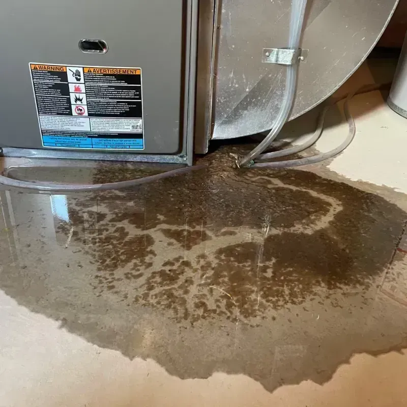 Appliance Leak Cleanup in Los Altos Hills, CA